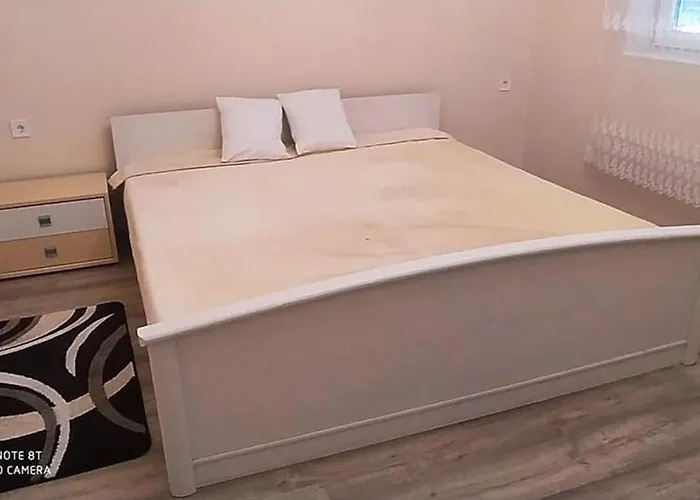 Bajnóczi *